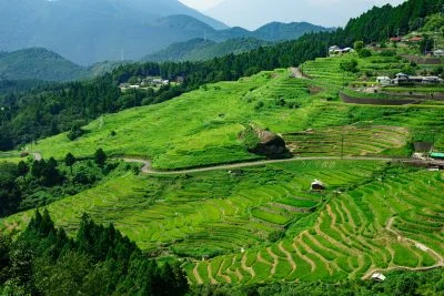 無料壁紙 緑の千枚田。PCとデスクトップ壁紙に最適な4K高画質の無料壁紙。三重県熊野市の丸山千枚田で撮影したフリー写真素材