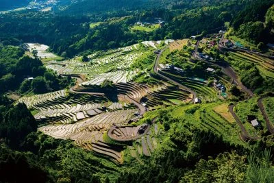 無料壁紙 初夏の千枚田。PCとデスクトップ壁紙に最適な4K高画質の無料壁紙。三重県熊野市の丸山千枚田で撮影したフリー写真素材