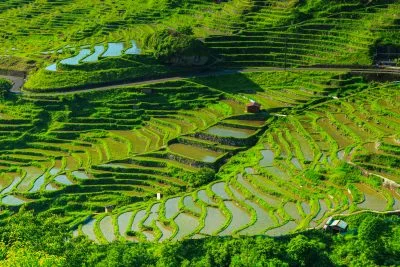 無料壁紙 連なる棚田。PCとデスクトップ壁紙に最適な4K高画質の無料壁紙。三重県熊野市の丸山千枚田で撮影したフリー写真素材