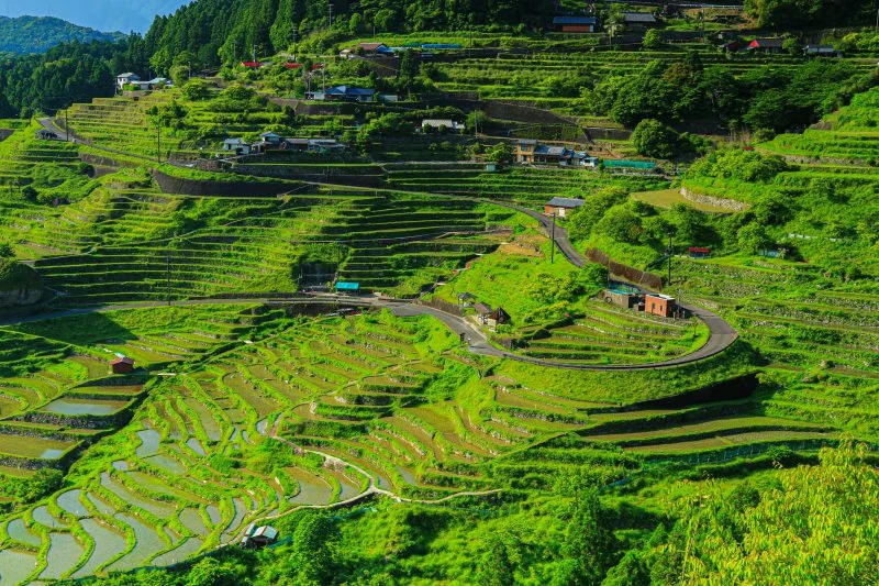 無料壁紙 まるでマチュピチュ。PCとデスクトップ壁紙に最適な4K高画質の無料壁紙。三重県熊野市の丸山千枚田で撮影したフリー写真素材