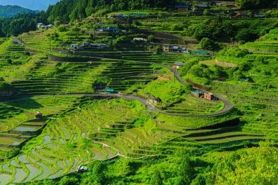 無料壁紙 まるでマチュピチュ。PCとデスクトップ壁紙に最適な4K高画質の無料壁紙。三重県熊野市の丸山千枚田で撮影したフリー写真素材