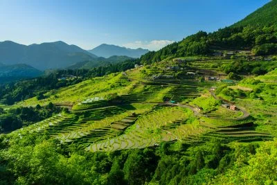 無料壁紙 5月末の千枚田。PCとデスクトップ壁紙に最適な4K高画質の無料壁紙。三重県熊野市の丸山千枚田で撮影したフリー写真素材