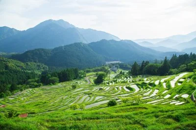 無料壁紙 新緑の千枚田。PCとデスクトップ壁紙に最適な4K高画質の無料壁紙。三重県熊野市の丸山千枚田で撮影したフリー写真素材