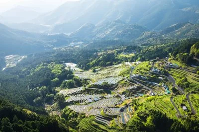 無料壁紙 新緑の千枚田と山々。PCとデスクトップ壁紙に最適な4K高画質の無料壁紙。三重県熊野市の丸山千枚田で撮影したフリー写真素材