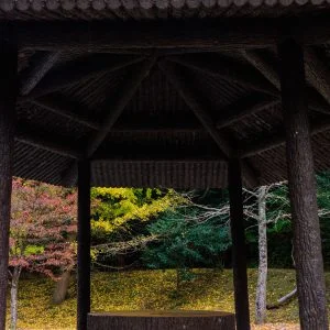 無料壁紙 駐車場近くの東屋と銀杏。PCとデスクトップ壁紙に最適な4K高画質の無料壁紙。三重県大台町の真手公園で撮影したフリー写真素材