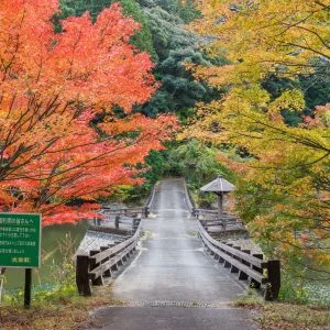 無料壁紙 持越池に掛かる橋。PCとデスクトップ壁紙に最適な4K高画質の無料壁紙。三重県大台町の真手公園で撮影したフリー写真素材