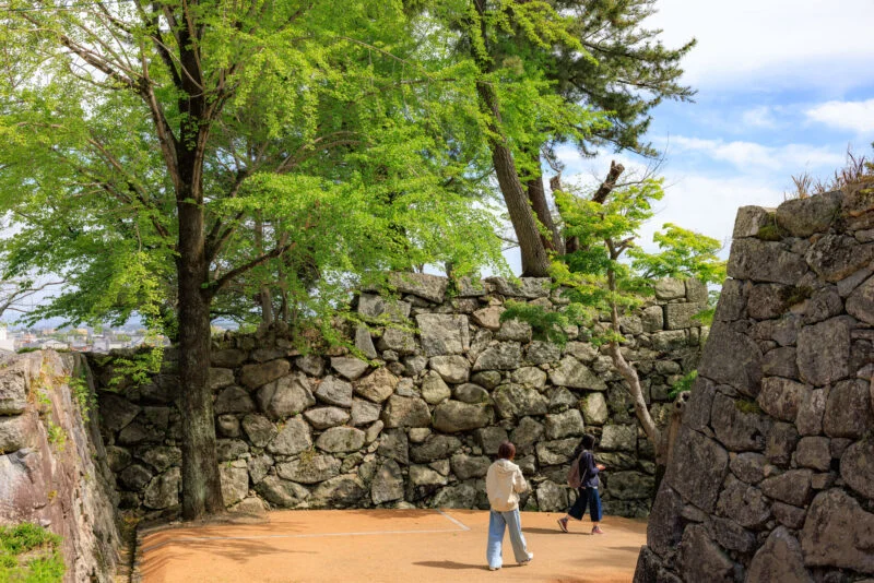 無料壁紙 新緑に広がる石垣。PCとデスクトップ壁紙に最適な4K高画質の無料壁紙。三重県松阪市の松坂城跡で撮影したフリー写真素材