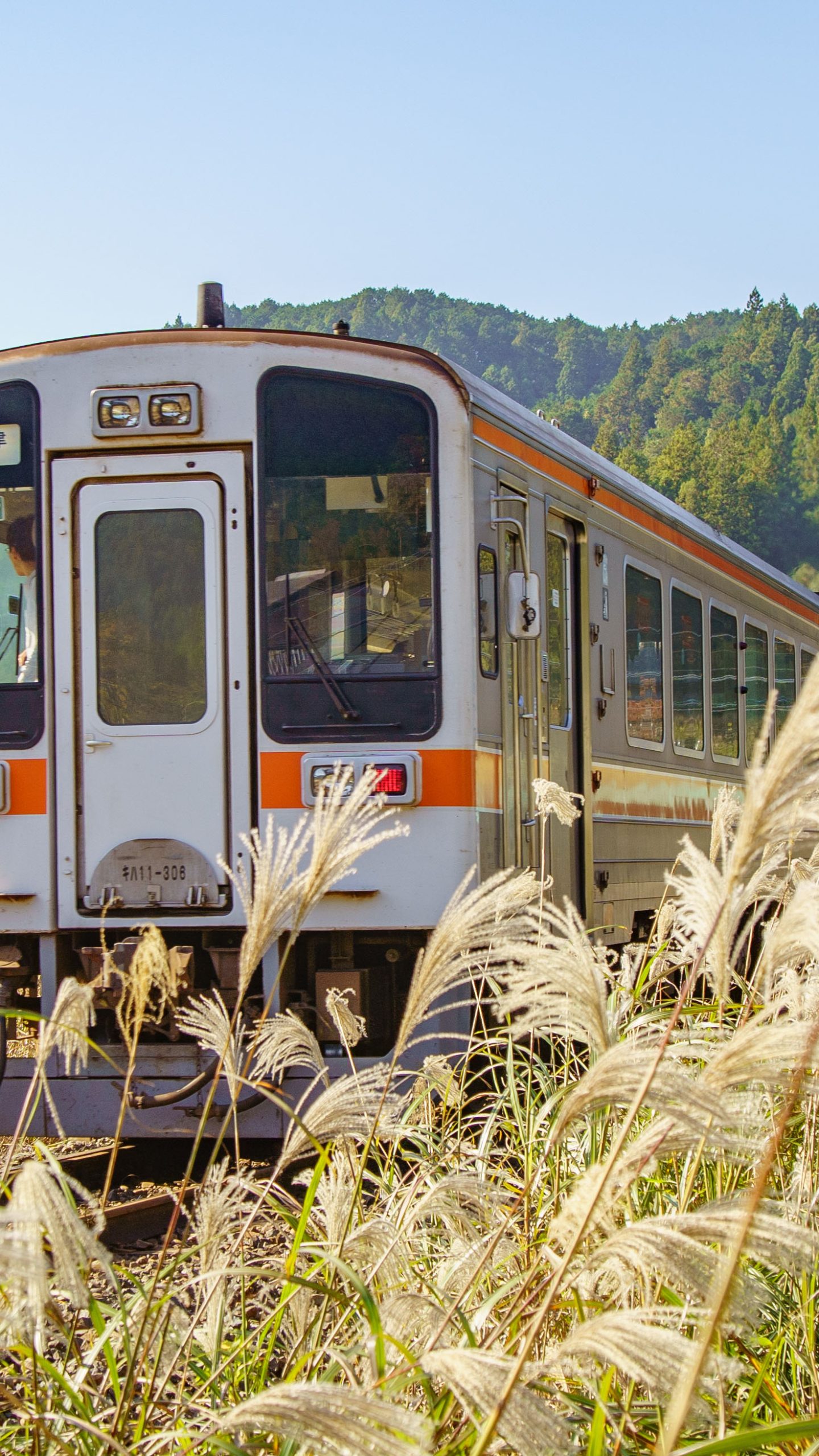 無料壁紙 ススキ列車。PCとデスクトップ壁紙に最適な4K高画質の無料壁紙。三重県鉄道の名松線で撮影したフリー写真素材