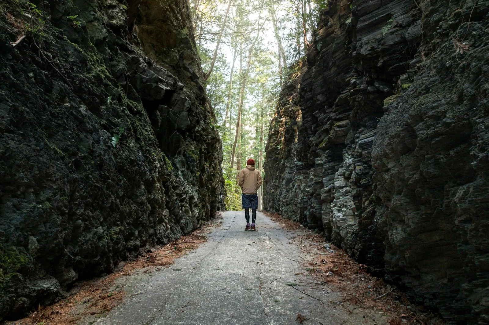 無料壁紙 珍布峠。PCとデスクトップ壁紙に最適な4K高画質の無料壁紙。三重県松阪市の珍布峠で撮影したフリー写真素材