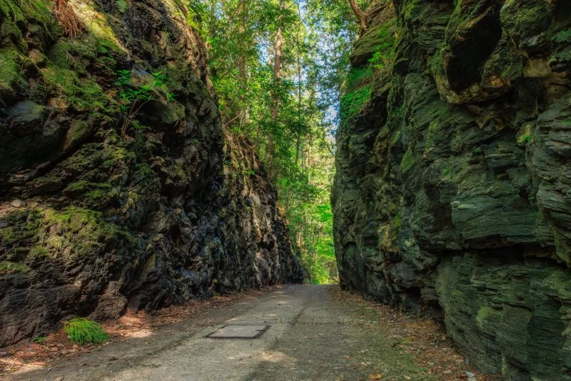 無料壁紙 木漏れ日が差す切り通し。PCとデスクトップ壁紙に最適な4K高画質の無料壁紙。三重県松阪市の珍布峠で撮影したフリー写真素材