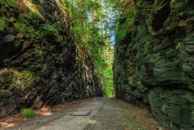 無料壁紙 木漏れ日が差す切り通し。PCとデスクトップ壁紙に最適な4K高画質の無料壁紙。三重県松阪市の珍布峠で撮影したフリー写真素材