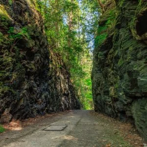 無料壁紙 木漏れ日が差す切り通し。PCとデスクトップ壁紙に最適な4K高画質の無料壁紙。三重県松阪市の珍布峠で撮影したフリー写真素材