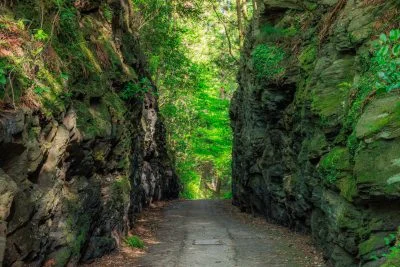 無料壁紙 新緑の切り通し。PCとデスクトップ壁紙に最適な4K高画質の無料壁紙。三重県松阪市の珍布峠で撮影したフリー写真素材