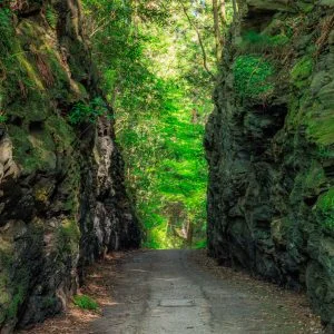 珍布峠のフリー写真素材