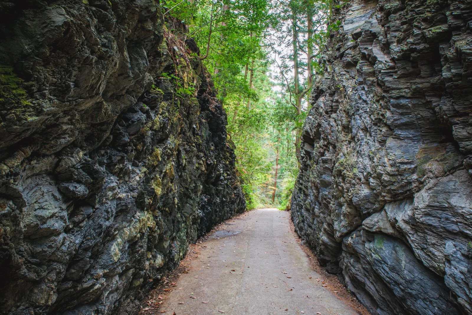 無料壁紙 切通し。PCとデスクトップ壁紙に最適な4K高画質の無料壁紙。三重県松阪市の珍布峠で撮影したフリー写真素材