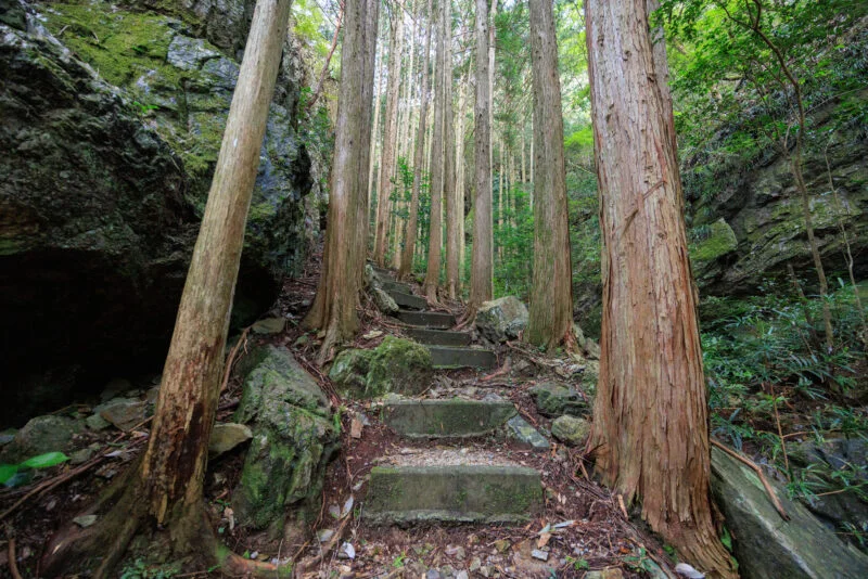 無料壁紙 巨大な岩がある登山道。PCとデスクトップ壁紙に最適な4K高画質の無料壁紙。三重県南伊勢町の鬼ヶ城で撮影したフリー写真素材