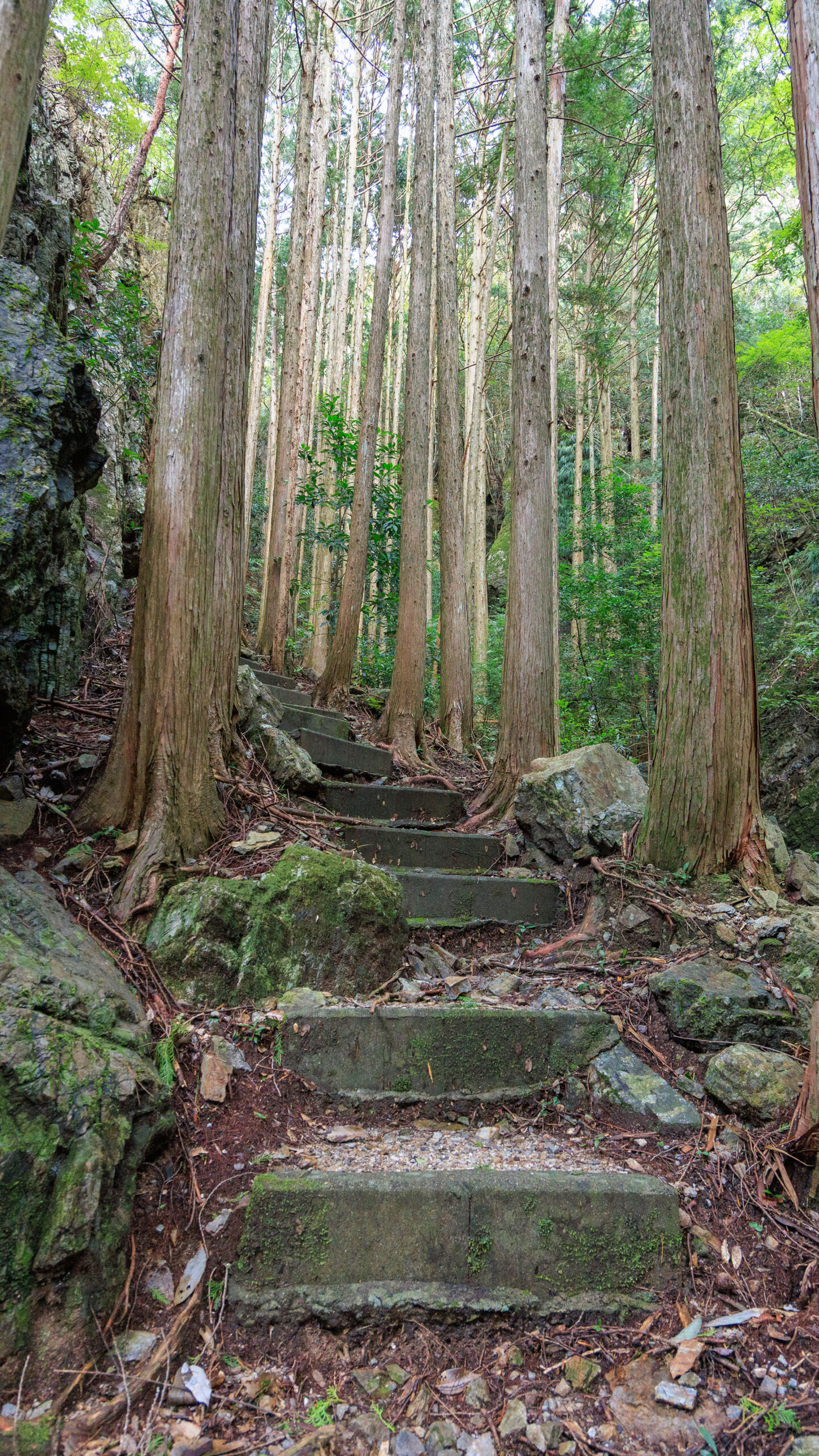 無料壁紙 巨大な岩がある登山道。PCとデスクトップ壁紙に最適な4K高画質の無料壁紙。三重県南伊勢町の鬼ヶ城で撮影したフリー写真素材