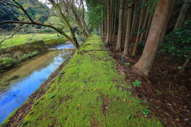 鬼ヶ城までの川沿いの散策路（三重県南伊勢町）
