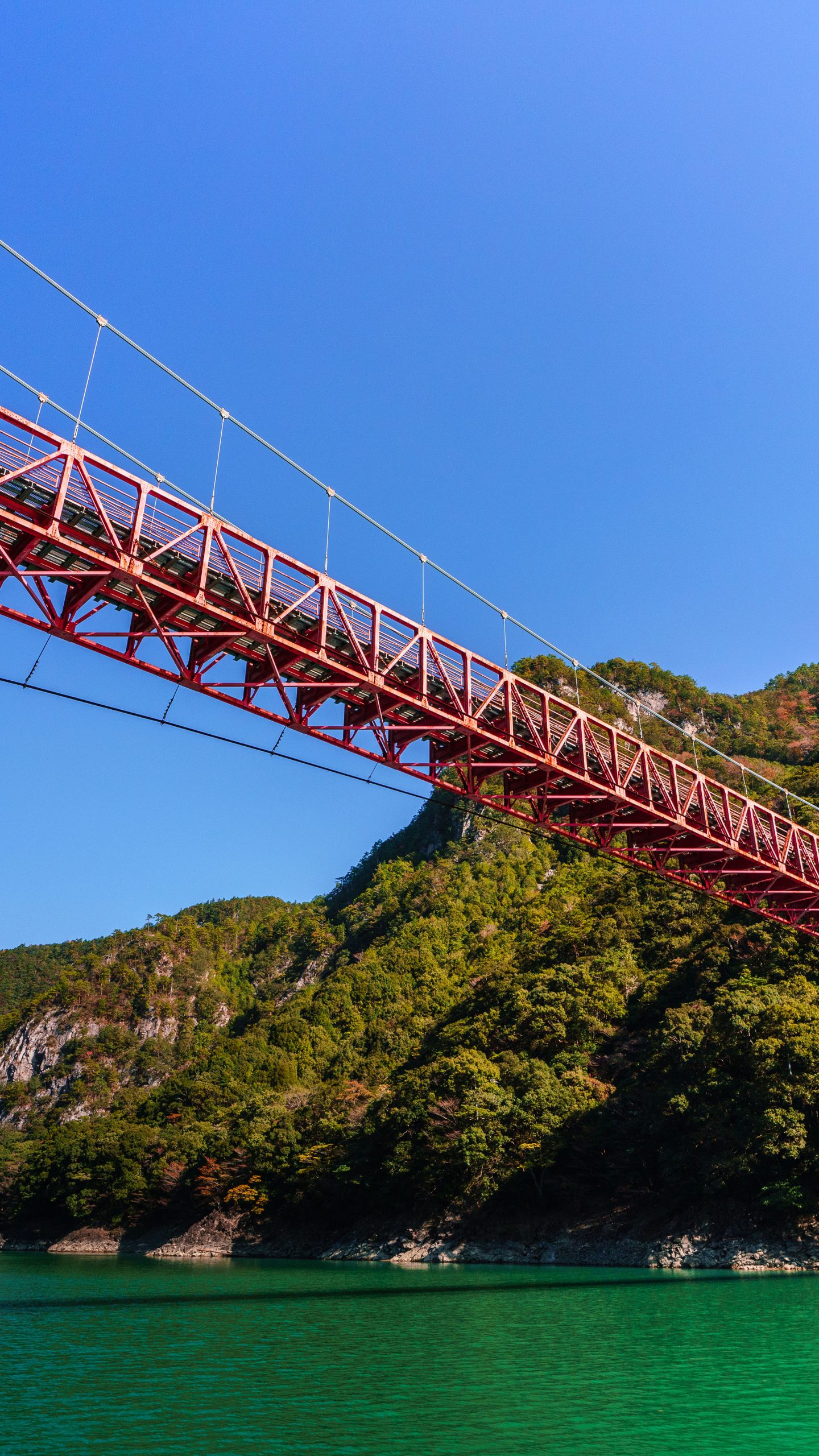 新大杉谷橋と紅葉(三重県大台町・宮川ダム湖観光船)