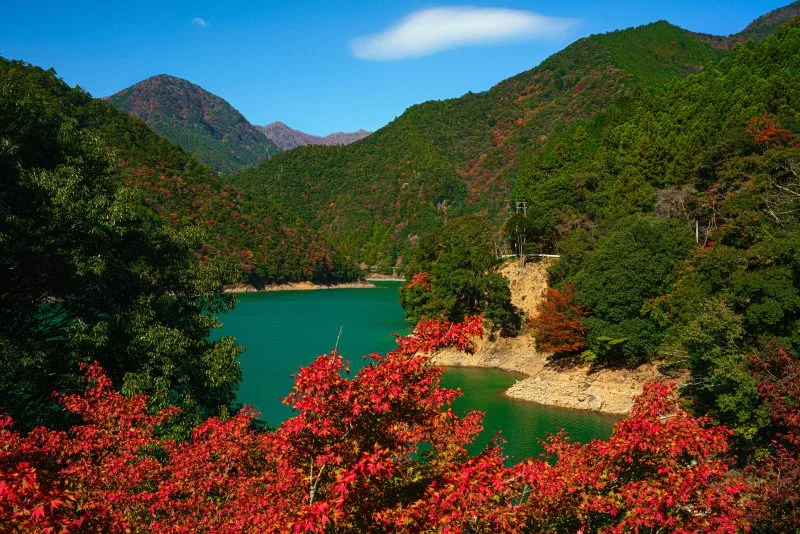 無料壁紙 宮川ダム湖と紅葉と秋空。PCとデスクトップ壁紙に最適な4K高画質の無料壁紙。三重県大台町の宮川ダム湖観光船で撮影したフリー写真素材