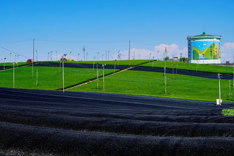 無料壁紙 【亀山茶】かぶせ茶の生産光景。PCとデスクトップ壁紙に最適な4K高画質の無料壁紙。三重県亀山市の中の山パイロットで撮影したフリー写真素材