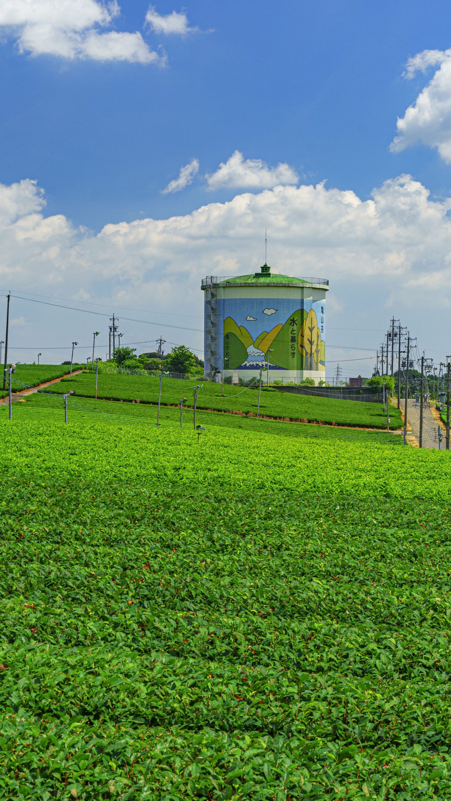 新緑の茶畑とタンク(三重県亀山市・中の山パイロット)