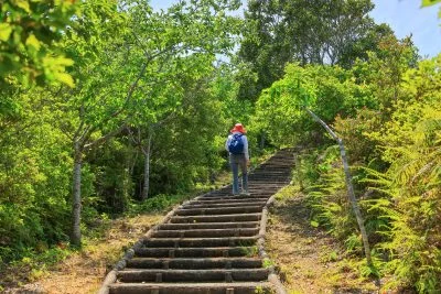 無料壁紙 展望台までの階段。PCとデスクトップ壁紙に最適な4K高画質の無料壁紙。三重県南伊勢町の南海展望台で撮影したフリー写真素材