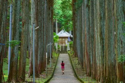 無料壁紙 静寂な参道を歩く。PCとデスクトップ壁紙に最適な4K高画質の無料壁紙。三重県菰野町の尾高観音で撮影したフリー写真素材