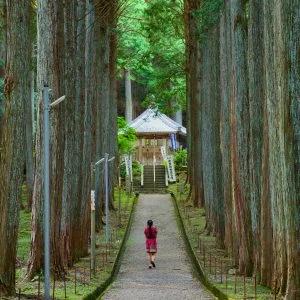尾高観音のフリー写真素材
