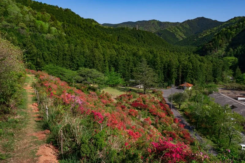 無料壁紙 大平山からの眺め。PCとデスクトップ壁紙に最適な4K高画質の無料壁紙。三重県大紀町の大平つつじ山で撮影したフリー写真素材