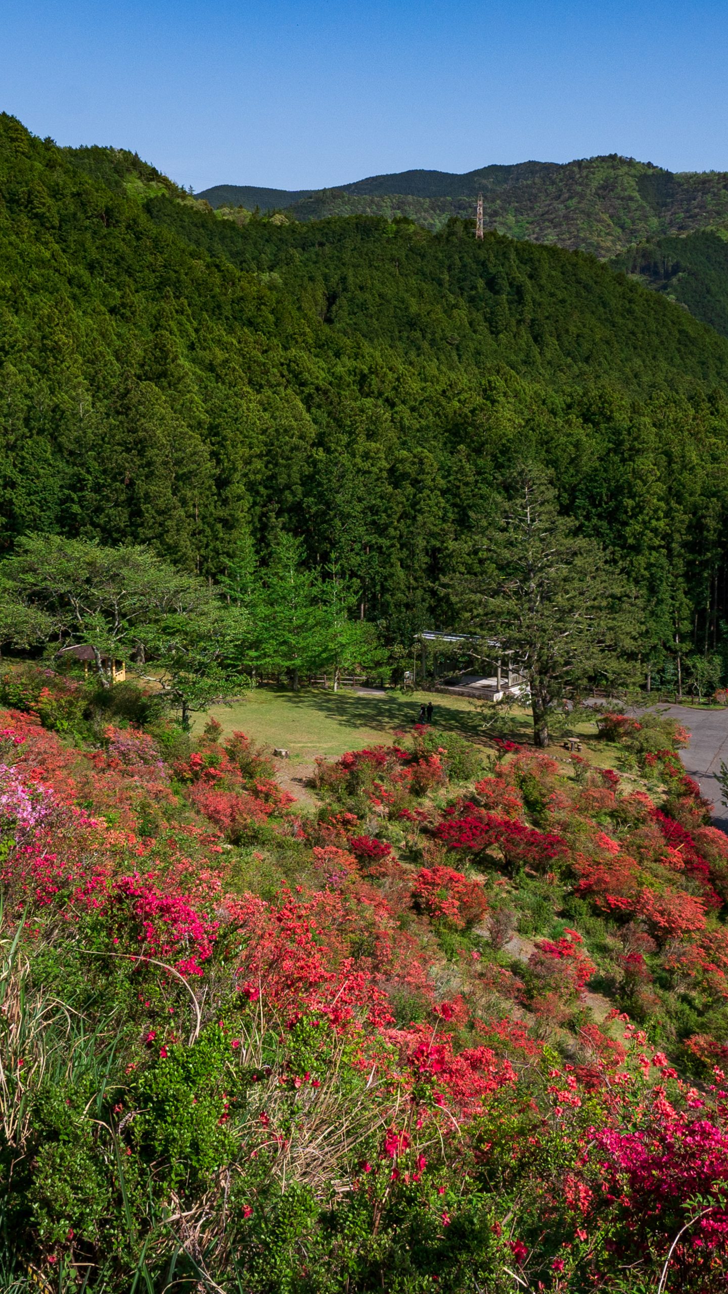 大平山からの眺め(三重県大紀町・大平つつじ山)