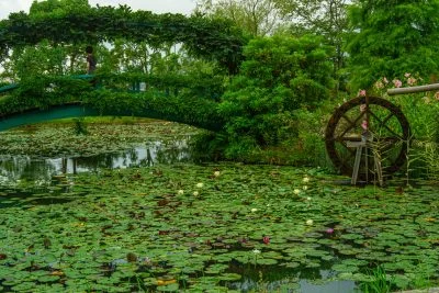 無料壁紙 スイレン池と水車。PCとデスクトップ壁紙に最適な4K高画質の無料壁紙。三重県津市のレッドヒルヒーサーの森で撮影したフリー写真素材