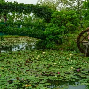 無料壁紙 スイレン池と水車。PCとデスクトップ壁紙に最適な4K高画質の無料壁紙。三重県津市のレッドヒルヒーサーの森で撮影したフリー写真素材