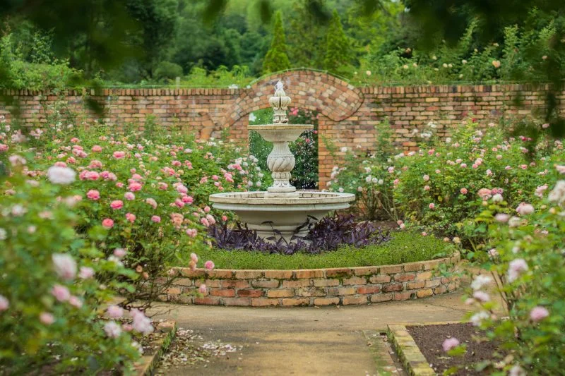 無料壁紙 ローズガーデンの噴水と薔薇。PCとデスクトップ壁紙に最適な4K高画質の無料壁紙。三重県津市のレッドヒルヒーサーの森で撮影したフリー写真素材