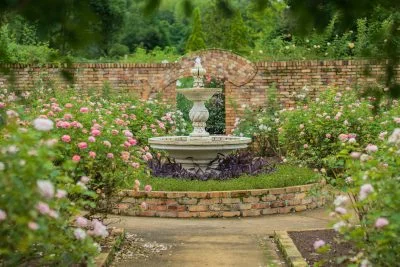 無料壁紙 ローズガーデンの噴水と薔薇。PCとデスクトップ壁紙に最適な4K高画質の無料壁紙。三重県津市のレッドヒルヒーサーの森で撮影したフリー写真素材