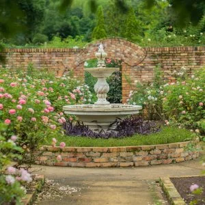 無料壁紙 ローズガーデンの噴水と薔薇。PCとデスクトップ壁紙に最適な4K高画質の無料壁紙。三重県津市のレッドヒルヒーサーの森で撮影したフリー写真素材