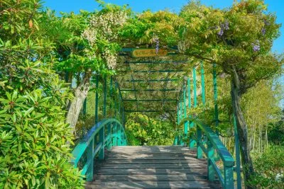 無料壁紙 オリーブ橋に咲く藤。PCとデスクトップ壁紙に最適な4K高画質の無料壁紙。三重県津市のレッドヒルヒーサーの森で撮影したフリー写真素材