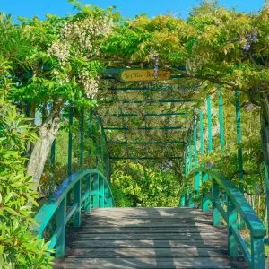 無料壁紙 オリーブ橋に咲く藤。PCとデスクトップ壁紙に最適な4K高画質の無料壁紙。三重県津市のレッドヒルヒーサーの森で撮影したフリー写真素材