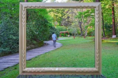 無料壁紙 まるで絵画。PCとデスクトップ壁紙に最適な4K高画質の無料壁紙。三重県津市のレッドヒルヒーサーの森で撮影したフリー写真素材