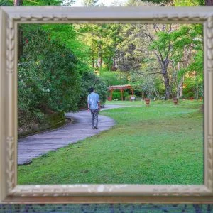 無料壁紙 まるで絵画。PCとデスクトップ壁紙に最適な4K高画質の無料壁紙。三重県津市のレッドヒルヒーサーの森で撮影したフリー写真素材