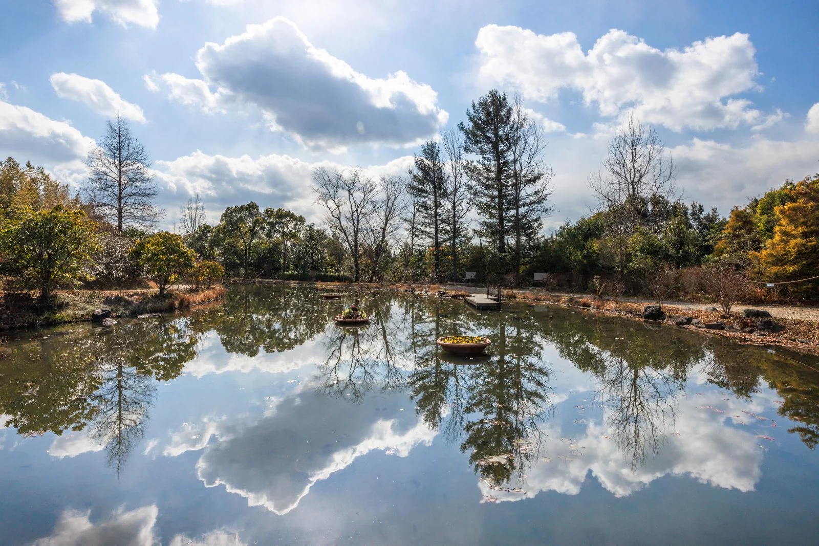 無料壁紙 雲が映る水面。PCとデスクトップ壁紙に最適な4K高画質の無料壁紙。三重県津市のレッドヒルヒーサーの森で撮影したフリー写真素材