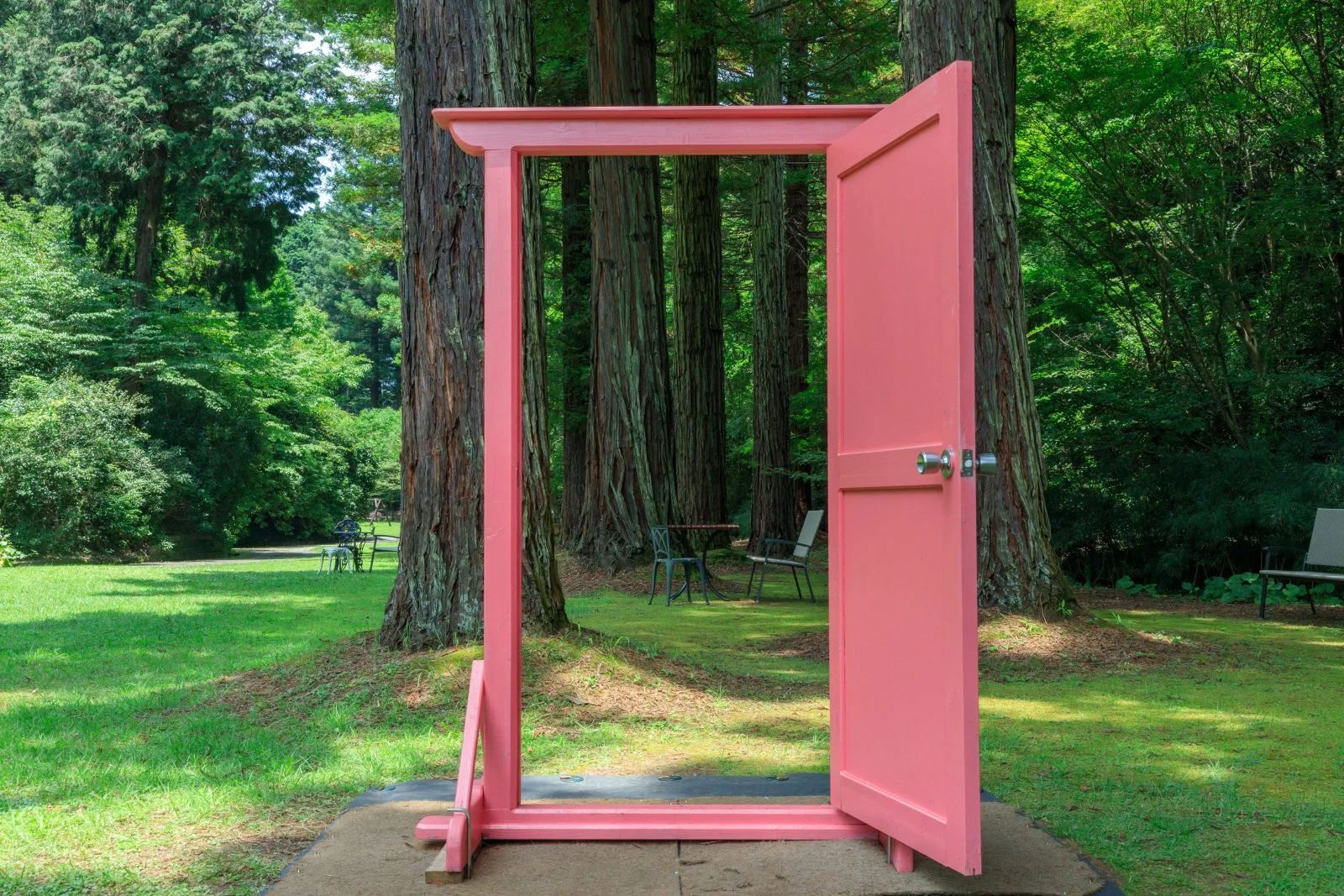 無料壁紙 どこでもドアの先はメルヘンチックな森。PCとデスクトップ壁紙に最適な4K高画質の無料壁紙。三重県津市のレッドヒルヒーサーの森で撮影したフリー写真素材