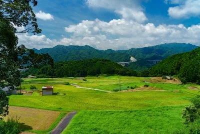 無料壁紙 展望台からの眺め。PCとデスクトップ壁紙に最適な4K高画質の無料壁紙。三重県亀山市の坂本の棚田で撮影したフリー写真素材