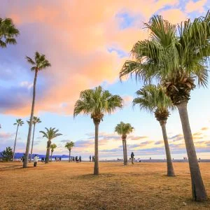 無料壁紙 朝焼けの公園。PCとデスクトップ壁紙に最適な4K高画質の無料壁紙。三重県御浜町の七里御浜ふれあいビーチで撮影したフリー写真素材