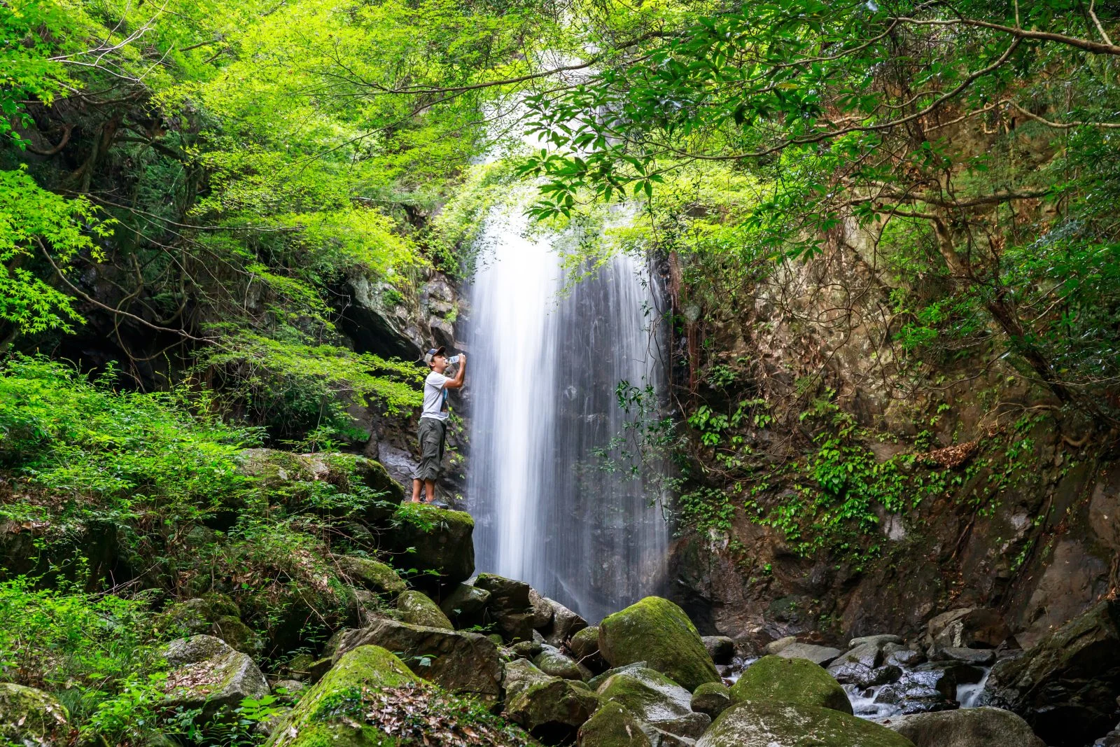 無料壁紙 伊賀の天然水を滝で飲むサイト管理人。PCとデスクトップ壁紙に最適な4K高画質の無料壁紙。三重県伊賀市の白藤滝で撮影したフリー写真素材