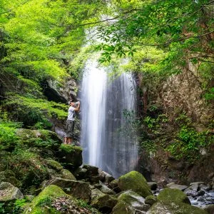 無料壁紙 伊賀の天然水を滝で飲むサイト管理人。PCとデスクトップ壁紙に最適な4K高画質の無料壁紙。三重県伊賀市の白藤滝で撮影したフリー写真素材