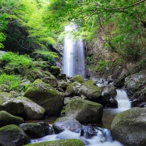 白藤滝のフリー写真素材