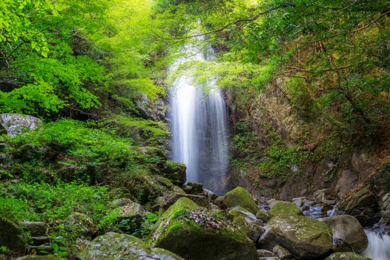 無料壁紙 緑に包まれる滝。PCとデスクトップ壁紙に最適な4K高画質の無料壁紙。三重県伊賀市の白藤滝で撮影したフリー写真素材