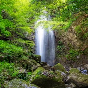 無料壁紙 緑に包まれる滝。PCとデスクトップ壁紙に最適な4K高画質の無料壁紙。三重県伊賀市の白藤滝で撮影したフリー写真素材