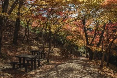 無料壁紙 水沢もみじ谷の紅葉。PCとデスクトップ壁紙に最適な4K高画質の無料壁紙。三重県四日市市の水沢もみじ谷で撮影したフリー写真素材